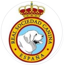 Campeonato de España de la RSCE