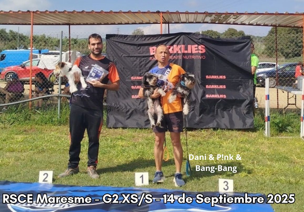 Primeros y terceros Clasificados Dani & P!nk & Bang-Bang Primeros y terceros Clasificados Dani & P!nk & Bang-Bang