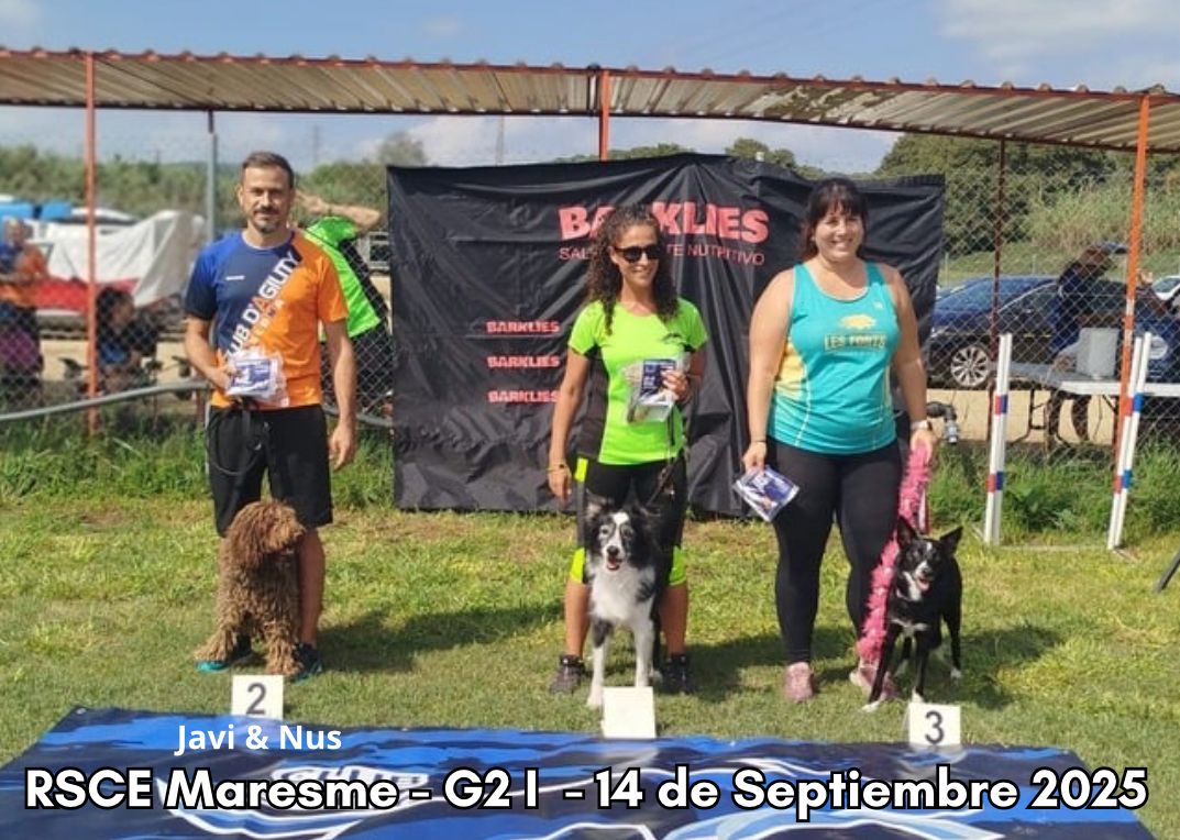 Segundos Clasificados Javi & Nus Segundos Clasificados Javi & Nus