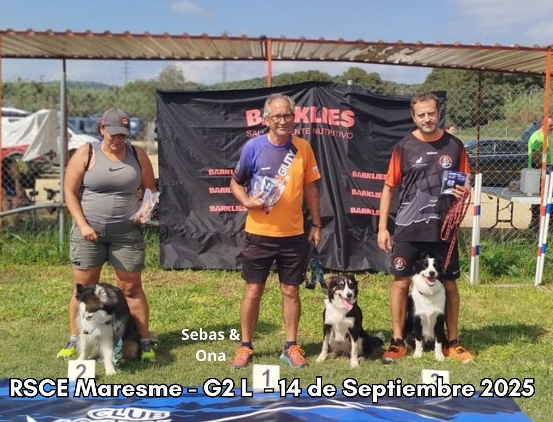 Primeros Clasificados Sebas & Ona Primeros Clasificados Sebas & Ona